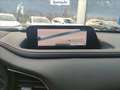 Mazda CX-30 2.0 m-hybrid executive 2wd 122cv 6mt Bianco - thumbnail 12