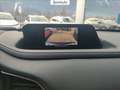 Mazda CX-30 2.0 m-hybrid executive 2wd 122cv 6mt Bianco - thumbnail 11