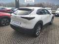 Mazda CX-30 2.0 m-hybrid executive 2wd 122cv 6mt Bianco - thumbnail 5