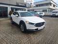 Mazda CX-30 2.0 m-hybrid executive 2wd 122cv 6mt Bianco - thumbnail 4