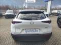 Mazda CX-30 2.0 m-hybrid executive 2wd 122cv 6mt Bianco - thumbnail 6