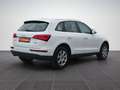 Audi Q5 2.0 TDI quat. Top-Ausst. GARANTIE Weiß - thumbnail 5