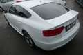 Audi A5 Sportback 2.0 TDI Quattro S-Line S-Tronic Xenon Na Weiß - thumbnail 6