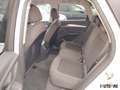 Audi Q5 40 2.0 tdi mhev 12V Business Advanced quattro s-t Bianco - thumbnail 14
