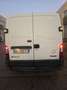 Renault Master Blanc - thumbnail 7