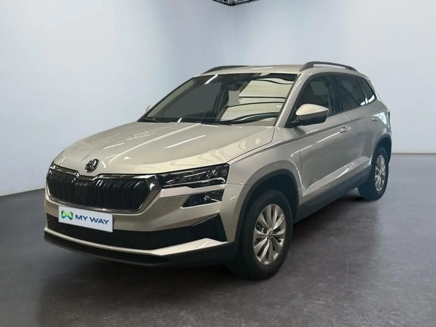 Skoda Karoq Selection*Carplay*camérarecul*Nav Zilver - 1