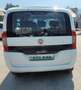 Fiat Qubo Qubo 2017 1.3 mjt 16v Lounge 80cv my19 - thumbnail 5