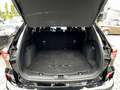 Ford Kuga 2.5 PHEV VIGNALE *LED*AHK*ACC* Noir - thumbnail 13