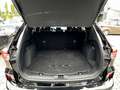 Ford Kuga 2.5 PHEV VIGNALE LED AHK ACC HUD Soundsystem Zwart - thumbnail 13