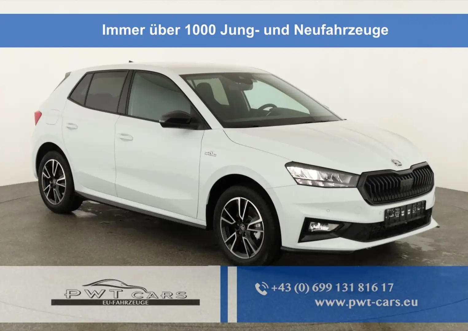 Skoda Fabia Monte Carlo 1.0 TSI DSG Carlo, LED, Kamera, Win... Weiß - 1