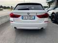 BMW 530 530d Touring Luxury Line Blanco - thumbnail 12
