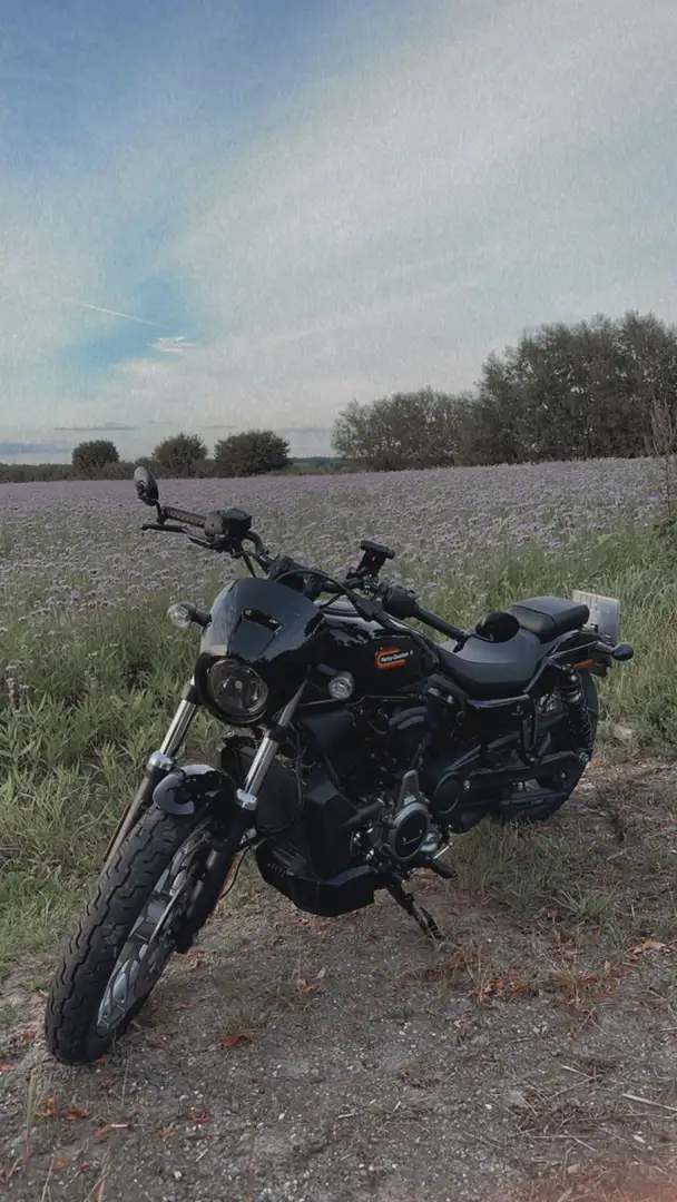 Harley-Davidson Sportster Standard Ausstattung + Jekyll and Hyde Auspuff - 2