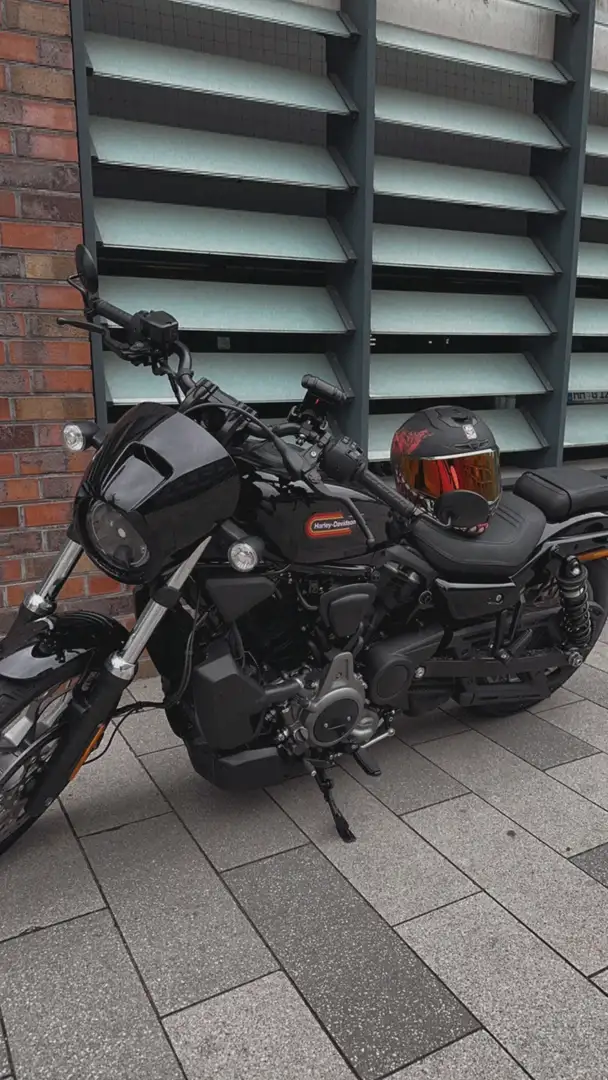 Harley-Davidson Sportster Standard Ausstattung + Jekyll and Hyde Auspuff - 1