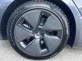 Tesla Model 3 Standard Range RWD Plus 57,5kWh Grau - thumbnail 25
