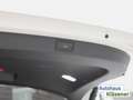 Skoda Elroq 85 Alpha (82 kWh) 210 KW Automatik Weiß - thumbnail 13