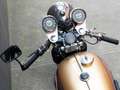 BSA A 65 Lightning Beige - thumbnail 5