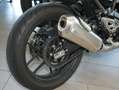 Triumph sofort verfügbar Schwarz - thumbnail 3