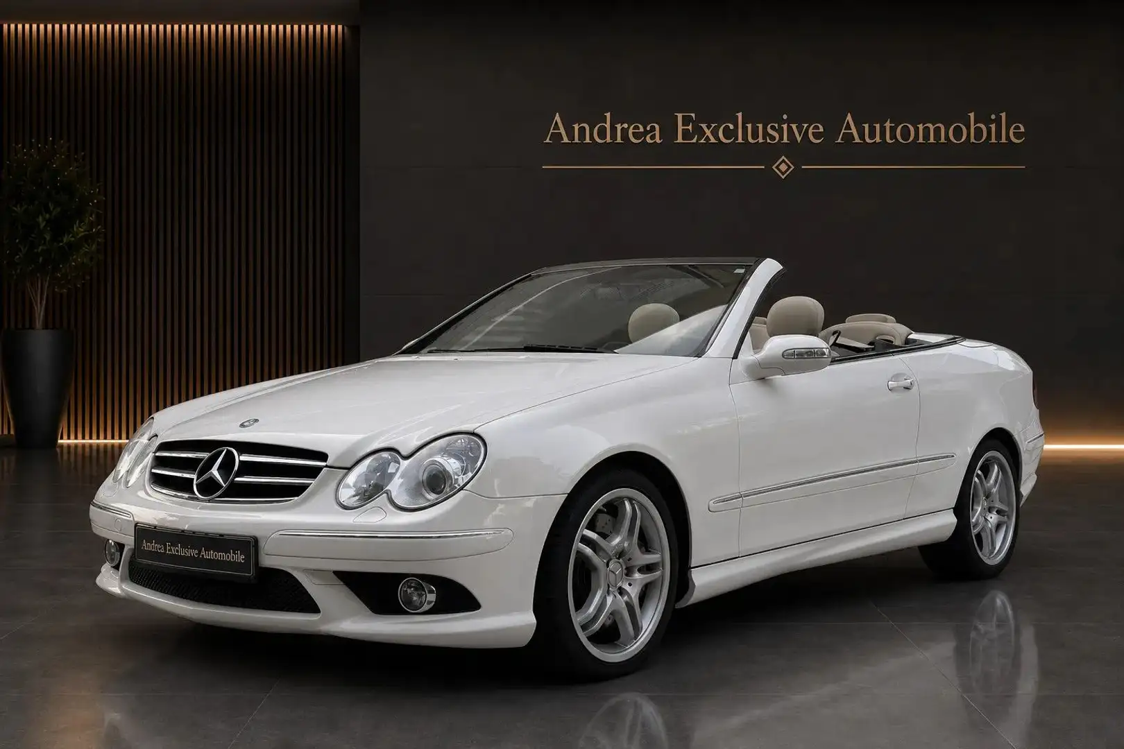 Mercedes-Benz CLK 500 CLK 550 Cabrio AMG Topfahrzeug Weiß - 2