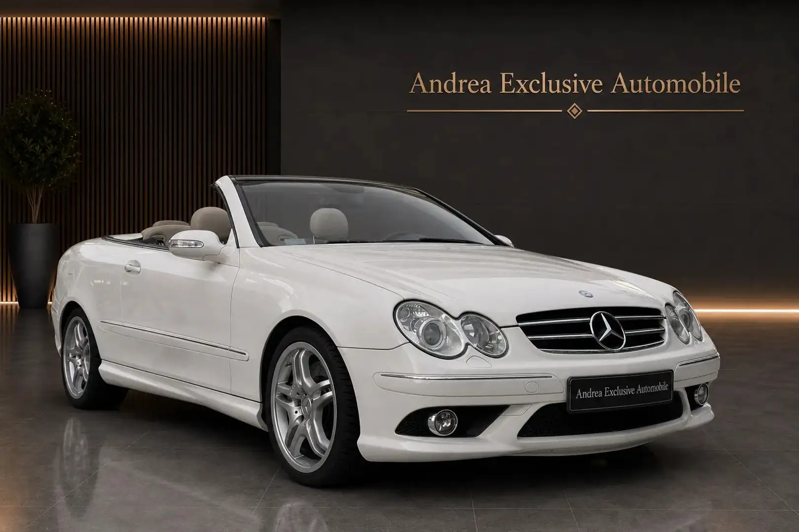 Mercedes-Benz CLK 500 CLK 550 Cabrio AMG Topfahrzeug Weiß - 1