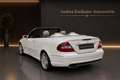 Mercedes-Benz CLK 500 CLK 550 Cabrio AMG Topfahrzeug Weiß - thumbnail 8