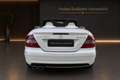 Mercedes-Benz CLK 500 CLK 550 Cabrio AMG Topfahrzeug Weiß - thumbnail 5