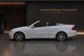Mercedes-Benz CLK 500 CLK 550 Cabrio AMG Topfahrzeug Weiß - thumbnail 7