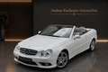 Mercedes-Benz CLK 500 CLK 550 Cabrio AMG Topfahrzeug Weiß - thumbnail 3