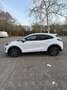 Ford Puma Titanium X Weiß - thumbnail 3