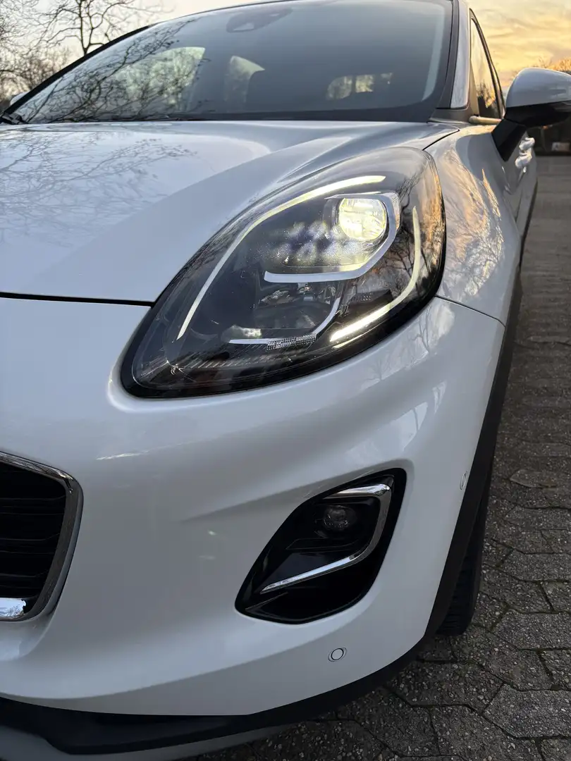 Ford Puma Titanium X Weiß - 2