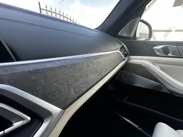 BMW X5 view 27