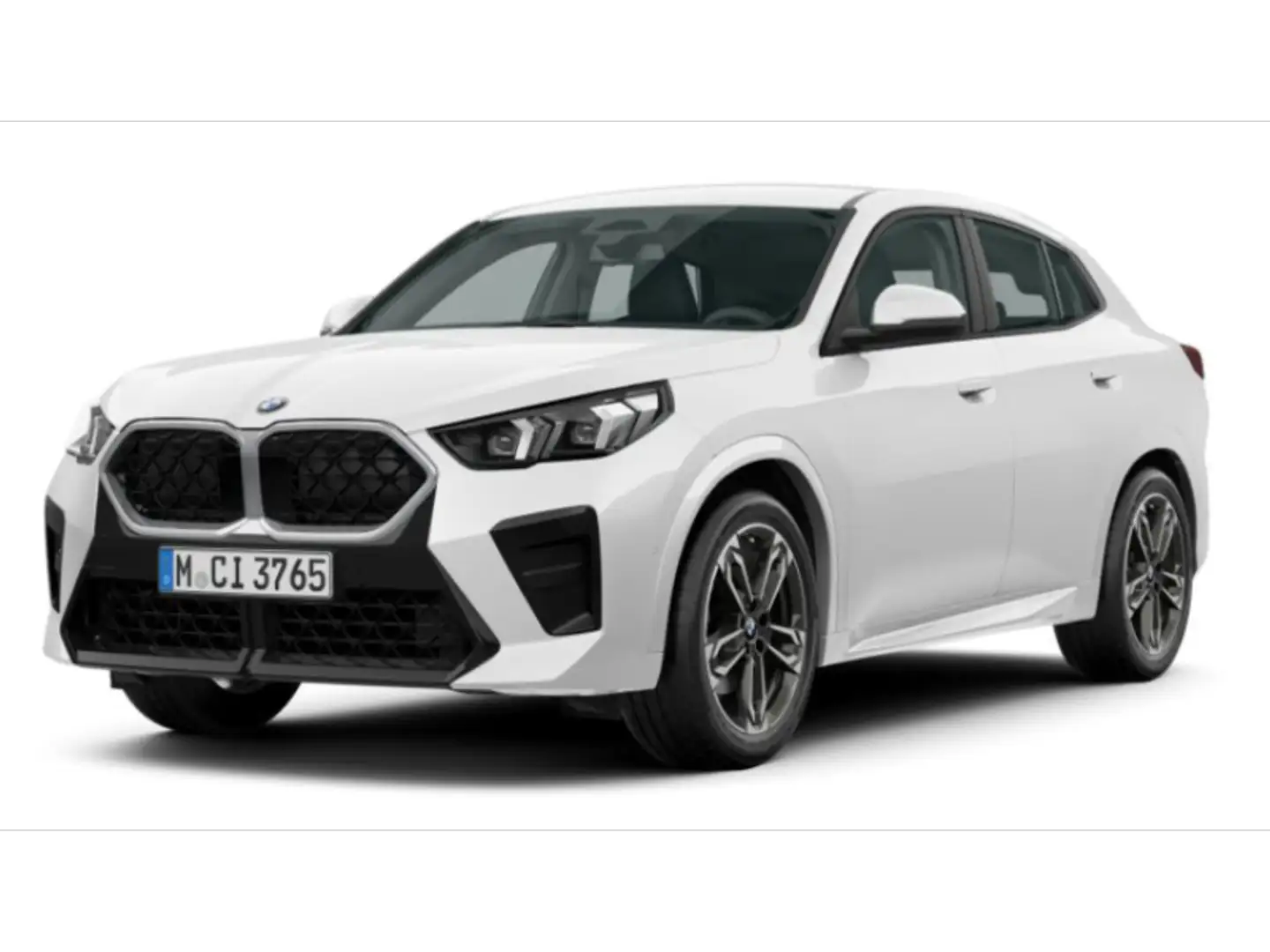 BMW X2 sDrive20i M Sport Wit - 1