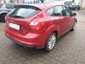 Ford Focus Lim. Trend 2.Hand Mod. 2013 Rot - thumbnail 6