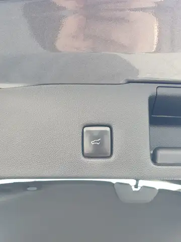 Ford Kuga view 12