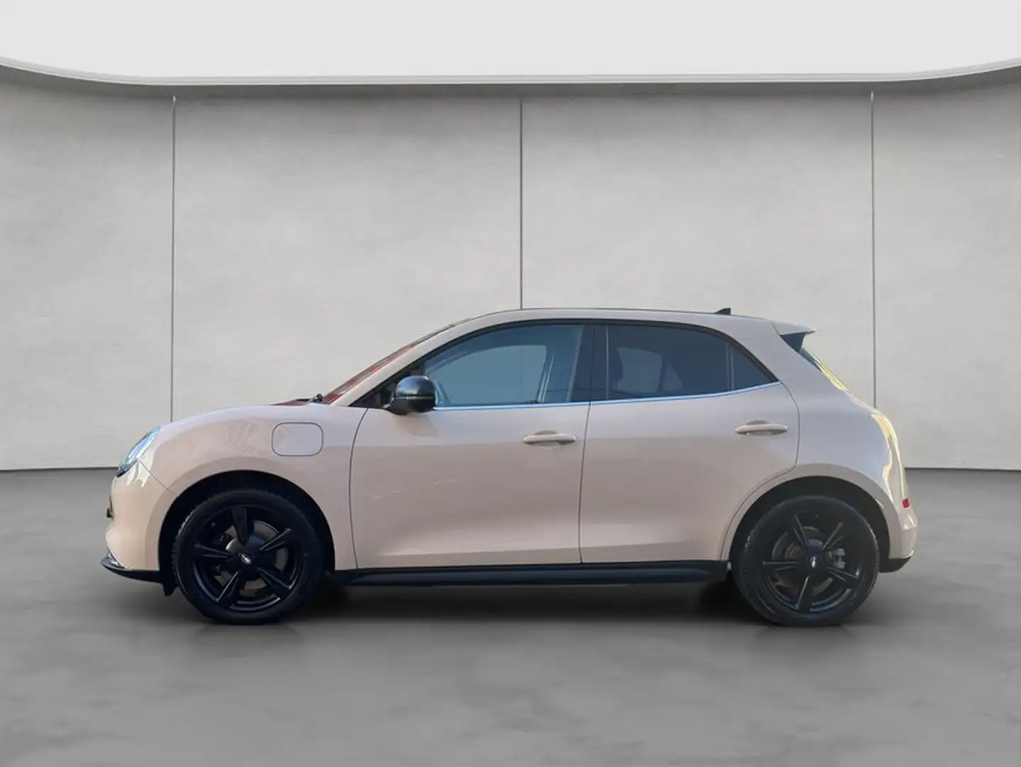 Ora Funky Cat 300 Pro Beige - 2