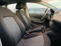 SEAT Ibiza 1.0 EcoTSI S&S Reference 95 Blanco - thumbnail 15