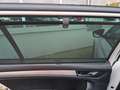 Skoda Kodiaq Tour DSG LED ACC AHK NAVI 4xSHZ Weiß - thumbnail 28