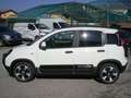 Fiat Panda 1.0 FireFly S&S Hybrid Pandina - PREZZO REALE Bianco - thumbnail 5