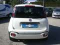 Fiat Panda 1.0 FireFly S&S Hybrid Pandina - PREZZO REALE Bianco - thumbnail 7