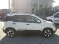 Fiat Panda 1.0 FireFly S&S Hybrid Pandina - PREZZO REALE Bianco - thumbnail 9