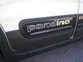 Fiat Panda 1.0 FireFly S&S Hybrid Pandina - PREZZO REALE Bianco - thumbnail 11