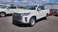 SsangYong Musso Grand Musso Work 2.2 E-XDI 4x4 Kamera Blanc - thumbnail 1