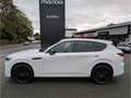 Mazda CX-60 Homura PHEV HUD Bose ACC SHZ Klimasitze Panorama N Blanc - thumbnail 3