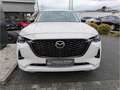Mazda CX-60 Homura PHEV HUD Bose ACC SHZ Klimasitze Panorama N Blanc - thumbnail 2