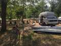 Volkswagen T3 Campingbus Wit - thumbnail 3