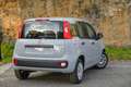 Fiat Panda Panda 1.0 firefly hybrid s Grigio - thumbnail 8