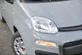 Fiat Panda Panda 1.0 firefly hybrid s Grigio - thumbnail 4