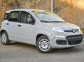Fiat Panda Panda 1.0 firefly hybrid s Grigio - thumbnail 1