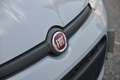 Fiat Panda Panda 1.0 firefly hybrid s Grigio - thumbnail 7