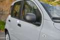 Fiat Panda Panda 1.0 firefly hybrid s Grigio - thumbnail 6