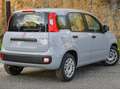 Fiat Panda Panda 1.0 firefly hybrid s Grigio - thumbnail 9